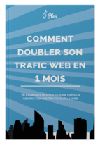 Livre blanc doubler son trafic web site plezi